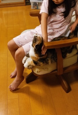 ハナちゃんと娘さん 大好き同士