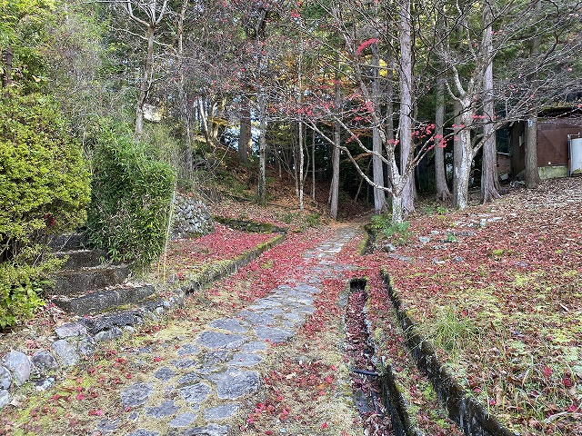 熊野古道中辺路　古道紅葉