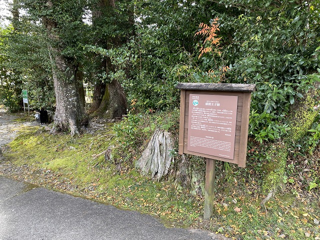 熊野古道中辺路　祓殿王子跡