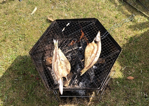 三重県　キャンプ　焼き魚　カマス
