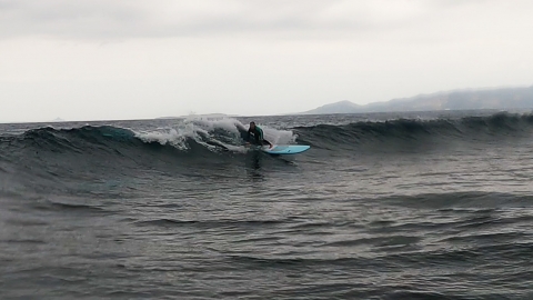 NSP SURF 8ʻ4