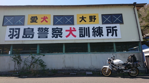 2023年3月20日はねワンデム羽島大野警察犬愛犬訓練所 (14)