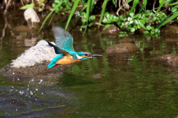 DSC_1849_20230425_21606.jpg