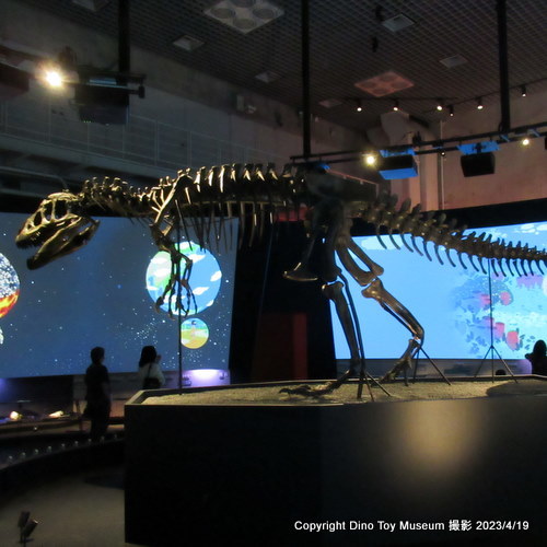 小川勇吉さんが寄贈してくれたアロサウルス。国立科学博物館で会えます！