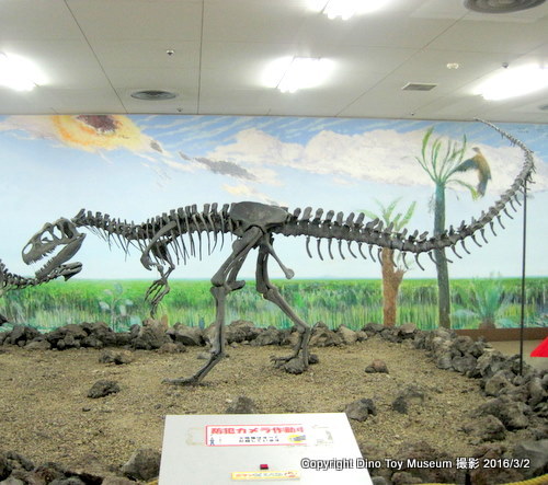 小川勇吉さんが寄贈してくれたアロサウルス。国立科学博物館で会えます！