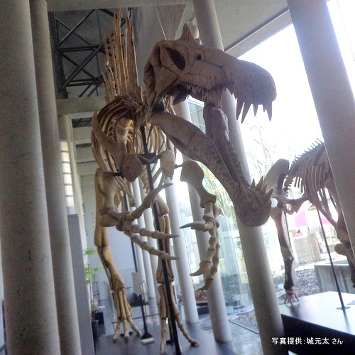 飯田市美術博物館のスピノサウルス（長野県飯田市）「【こんなところで恐竜発見！】