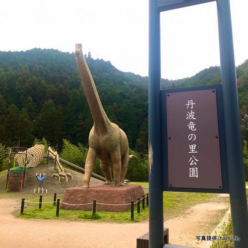 丹波竜の里公園（兵庫県丹波市）【こんなところで恐竜発見！】　写真提供：hamさん