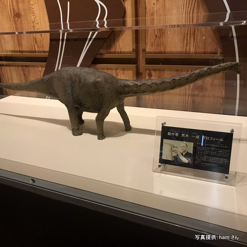 丹波竜化石工房　ちーたんの館（兵庫県丹波市）【こんなところで恐竜発見！】 写真提供：ham さん
