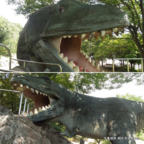 野生児課長さんから最近の恐竜公園の写真を頂きました！