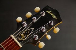 collings 290-202303
