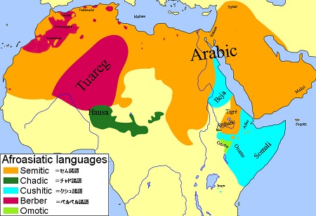 afloasiatic languages 202303