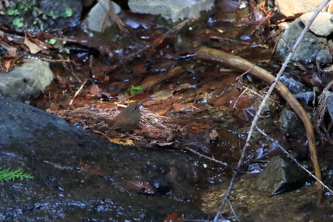 s-s230320242.jpg