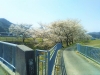 乗竹の八幡橋DSC_0151