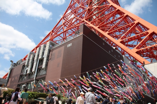東京タワーと鯉のぼり０１
